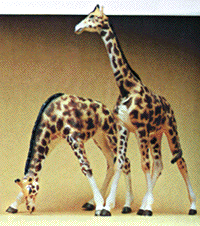 Preiser HO 628 Animals, Giraffes (2)