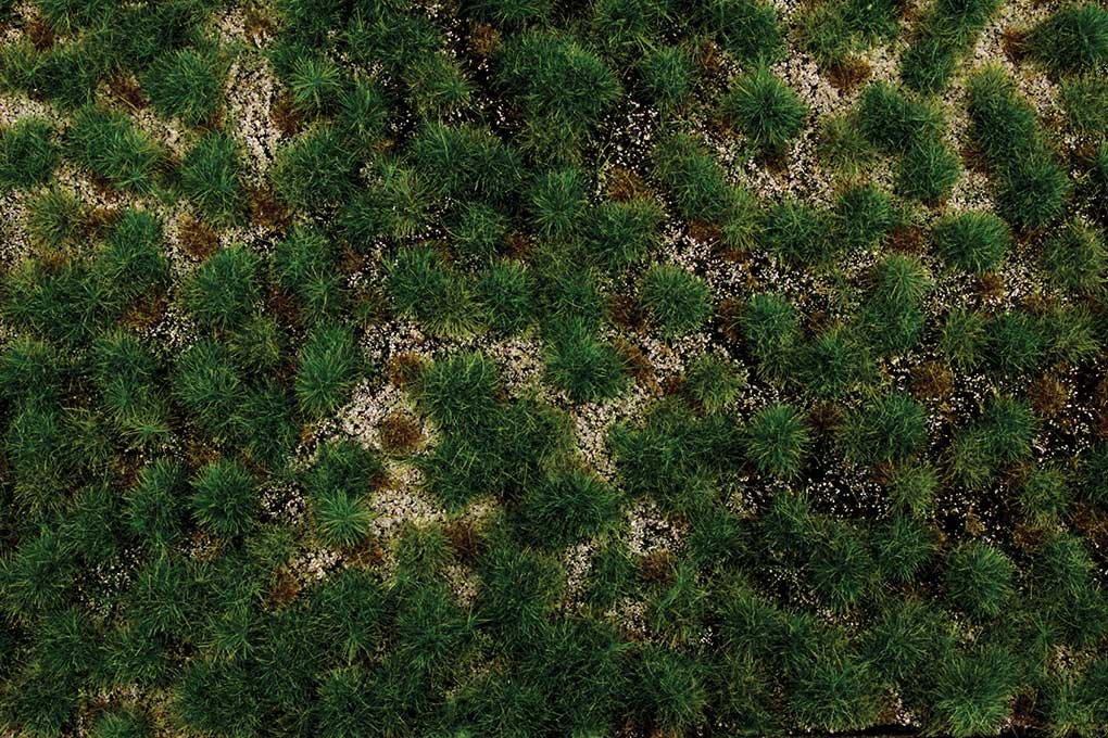 Bachmann Trains 32924 Tufted Grass Sheet/Mat, SceneScapes, Western Range 3/16" .5cm Tall Fibers, 11-3/4 x 7-1/2" 29.8 x 19.1cm Shee