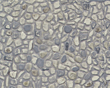 Plastruct HO 91580 PS-72 Field Stone Patterned Sheet (2)