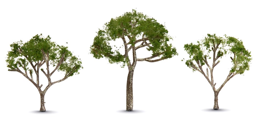 Woodland Scenics TR3525 Gum Trees, 2-1/2" to 3-1/2" (3)