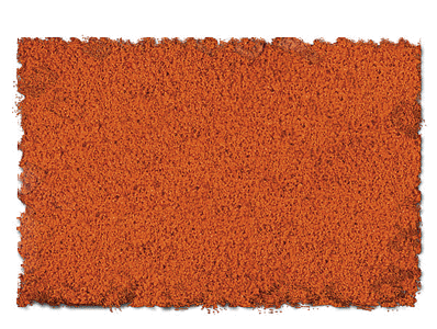 Scenic Express EX876B Flock & Turf, Scenic Foams & Ground Textures, Autumn Tones, 32 Ounces, Burnt Orange, Fine