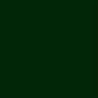 Tru-Color Paint 1422 Military Acrylic Color, FS-34052 Usmc Green US Army (1oz)